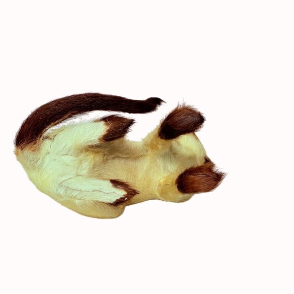 Realistic Siamese Cat Figurine Faux Fur Home Decor Collectible Blue Eyes - Picture 7 of 13